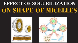 Effect of Solubilization on Shape of Micelles  Chemistry Insights By Dr Usman  ChemClarity [upl. by Olinde411]