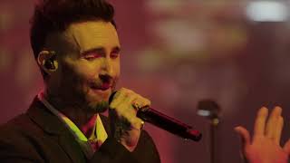 Maroon 5 Perform Animals [upl. by Ehudd681]