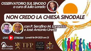 Non credo la Chiesa sinodale [upl. by Radack397]