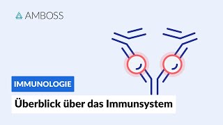 Überblick über das unspezifische und spezifische Immunsystem  Immunologie  AMBOSS Video [upl. by Annamarie]