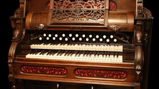 Toccata amp Fugue in D Minor  Bach  1910 Dominion Orchestral Reed Organ [upl. by Neraa]