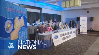 Interlake Reserves Tribal Council calls on Manitoba to halt outlet channels project  APTN News [upl. by Zweig]