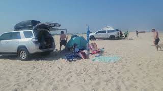 Assateague island national park Over Sand Vehicle Ocean City MD [upl. by Yung70]