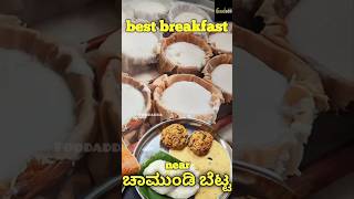 Mysore Halli hatti hotel idlichutney vegetarian villagefood mysorefood chamundeshwari temple [upl. by Manda]