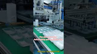 Thermoforming machine with absorbent pad [upl. by Loram]