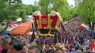 見せ場の階段登り！【ふとん太鼓：土師町 宮入】 百舌鳥八幡宮秋祭り 2023930 [upl. by Ada982]