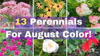 13 Perennials That Bloom In August [upl. by Tirrell629]