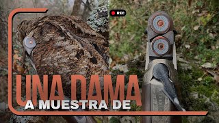 A muestra de una Dama 💥 Caza de becadas en España [upl. by Dawna]