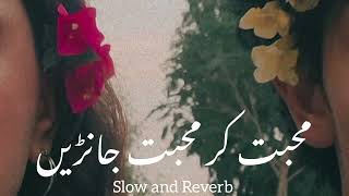 Mohabbat  Kar Slowed and Reverb   Zeeshan Khan Rokhri  New Saraiki Song 2024 [upl. by Maddy464]