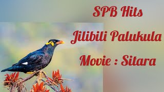 Jilibili Palukula Song  Sitara Movie spbhits spbalasubramaniamsongs ilayaraja by MadhaviPradeep [upl. by Aitsirhc]