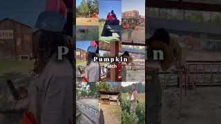 Yesterland Farms Pumpkin Patch [upl. by Mya966]