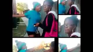 Sharkeisha Song noooooo she wasnt ready [upl. by Eltrym316]