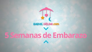 Bebé  5 Semanas de Embarazo  Signos y síntomas del embarazo [upl. by Zere933]