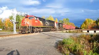 Local woodchip train [upl. by Swihart]