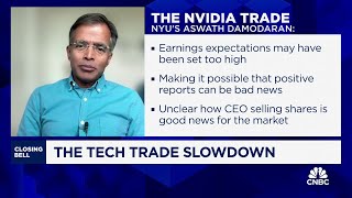 Mag 7 companies have shown weak spots in past few months says NYUs Aswath Damodaran [upl. by Lorry]