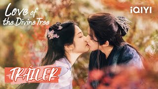 Tráiler Sendai Un Sueño  Love of the Divine Tree  iQIYI Spanish [upl. by Brunella]