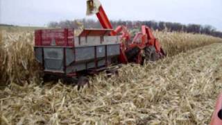 AllisChalmers 190 corn picker picking corn fall 09 2 [upl. by Llenrag]