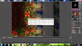 TUTORIAL SALVANDO HOTKEYS CAVE E ETC NO ELFBOT 860 [upl. by Halland]