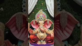 Ganesh ji Ganpati Bappa viral shorts गणेश [upl. by Awra]