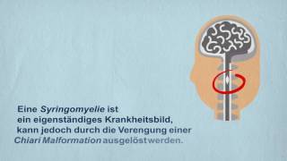 Deutsche Syringomyelie und Chiari Malformation eV [upl. by Annaoj963]