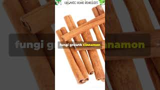 AMAZING BENEFITS OF CINNAMON IN 60 SECONDS [upl. by Lleihsad]