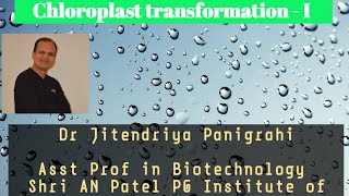 Chloroplast transformationI [upl. by Erline]