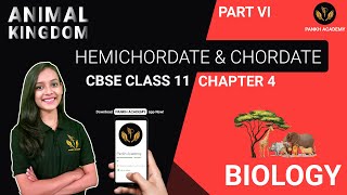 HEMICHORDATE amp CHORDATE  Animal Kingdom  Biology Class 11  Part 6  Pankh Academy [upl. by Ojahtnamas]