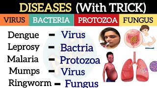 Diseases Gk  Human Disease Gk  Viral Bacterial Fungal Diseases  Science GK [upl. by Philemol]