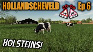 HOLLANDSCHEVELD Ep 6  HOLSTEINS  COOP Lets Play with SealyEG  Farming Simulator 19 PS4 [upl. by Bbor]