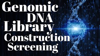 Genomic DNA library  Genomic library construction and screening [upl. by Nydnarb]