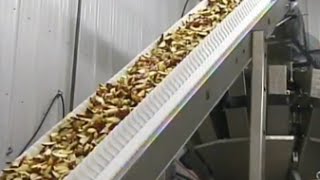 Novus Form Fill Seal Bagger Running Fresh Apple Slices  100 packs per minute Production Setting [upl. by Steere]