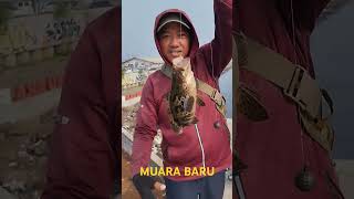 Mancing pinggiran Lautmuarabaru fishing mancing mancingmania kerapubabon [upl. by Recnal]