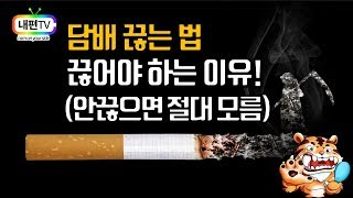 담배 끊는 법 금연후 달라지는 놀라운 변화 내편TV 행정사 100세시대 40대 50대 60대 은퇴 생활법률 임플란트 타이거 [upl. by Ahens]