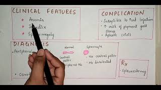 Hereditary Spherocytosis  Hemolytic Anemia [upl. by Ydderf]