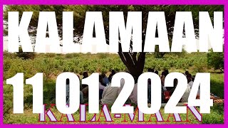 KALAMAAN 11 JANUARY 2024 [upl. by Trebloc92]