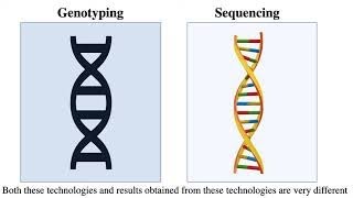 Genotyping by Sequencing [upl. by Theressa]