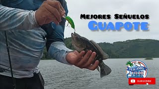 Pesca de Guapotes Mejores señuelos Costa Rica 🇨🇷 [upl. by Paynter]