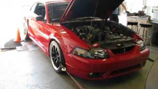 99 Cobra Dyno [upl. by Billy]