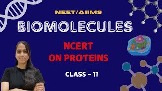 NEETAIIMS  Class11  NCERT ON PROTEINS  BIOMOLECULES  biology alakhpandey neet unacademy [upl. by Nohtan]