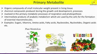 Primary and Secondary MetabolitesDifferences between Primary and Secondary Plant Metabolites [upl. by Ayian544]