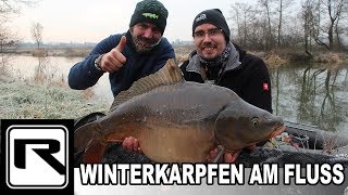 Karpfenangeln am Fluss  Winterkarpfen  SchneemannMontage fängt Fisch bei Randeis [upl. by Rrats]