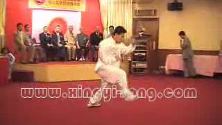 Cheng Wenxin 程文新 Song Shi Xingyi 宋氏形意 Shi Qi Shi 十七势 HongKong 2005 [upl. by Yornek288]