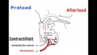 Preload en afterload [upl. by Egroeg]