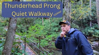 Thunderhead Prong Quiet Walkway [upl. by Yt]