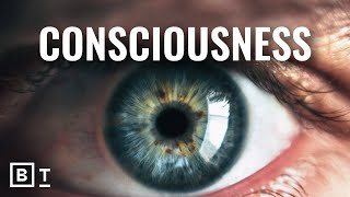 Is consciousness an illusion 5 experts explain [upl. by Xela210]