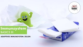 Immunsystem Basics III Adaptive Immunität  Zellen [upl. by Idihc810]