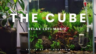 THE CUBE  LOFI RELAX MUSIC VERSION [upl. by Cohbert154]