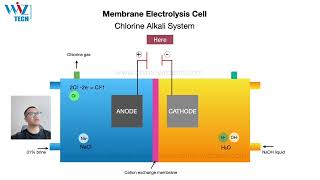 Principal of Membrane electrolysis system Electrochlorination Chlorine Alkali System [upl. by Gibert304]