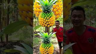 Survival Skills grafting Pineapple Fruit Banana fruit survival fruit banana Pineapple shorts [upl. by Luas]