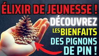 🍽️ Comment les Pignons de Pin Peuvent Booster Votre Énergie en 5 Jours [upl. by Domineca344]